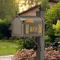 Whitehall Deluxe Mailbox Frank Lloyd Wright Tree Of Life Package #2 (Capitol Mailbox, Deluxe Post, Personalized Tree Of Life Side Plaques)