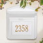 Whitehall Custom Wall Mount Mailbox with Removable Locking Insert