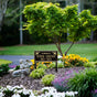 Wilmington - Standard Lawn Plaque - Two Line "In Memory Of"