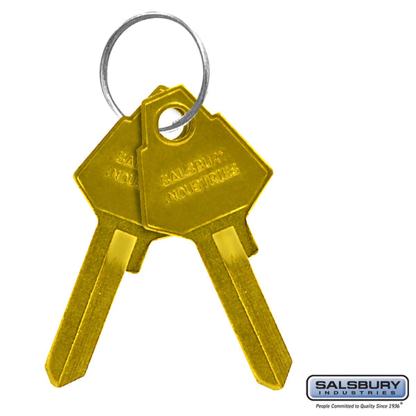 Salsbury Key Blanks - for Standard Locks of Aluminum Mailboxes - Box of (50)
