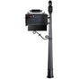 Residential Mailbox System with Fleur de Lis Mailbox and Newspaper Holder