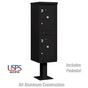 Salsbury Outdoor Parcel Locker with 2 Compartments in Black with USPS Access – Type I