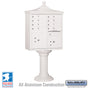 Salsbury Regency Decorative Cluster Box Unit with 8 Doors and 2 Parcel Lockers in White with USPS Access – Type I