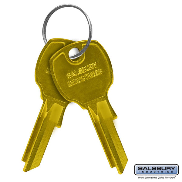 Salsbury Key Blanks - for Standard Locks of Vertical Mailboxes - Box of (50)