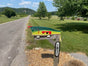 Rivers Edge Green Shad Fishing Lure Novelty Mailbox