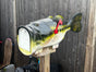 Rivers Edge Bass V2 Novelty Mailbox