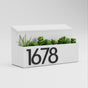 garden-white