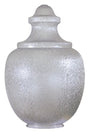 ACORN GLOBE- 26inch Polycarbonate Clear Replacement Globe