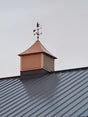 Whitehall 30" Traditional Directions Full-Bodied GOOSE Weathervane